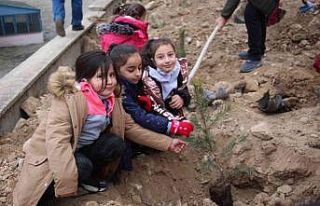 Minik yürekler okul bahçelerine fidan diktiler