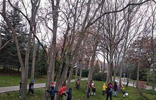 Minikler ilk üniversite deneyimini yaşadı