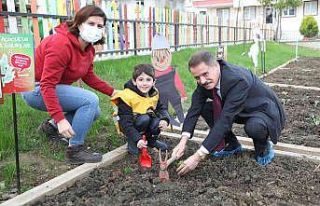 Minikler kışlık sebzelerini dikti