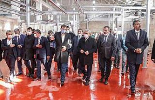 Modernizasyon çalışmaları tamamlanan mezbahane...