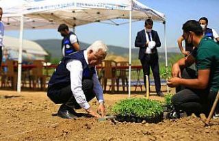 Muğla’da 39 il ve 2 ülkenin toprak, bitki ve su...