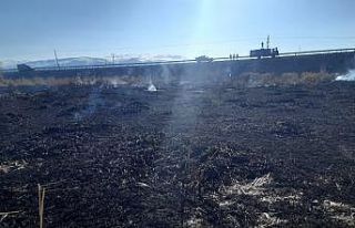 Muradiye’de sazlık yangını