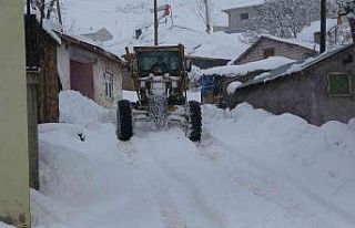 Muş’ta 115 köy yolu kardan kapandı