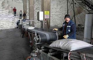 Muş’ta 38 bin 290 ton şeker üretimi yapıldı