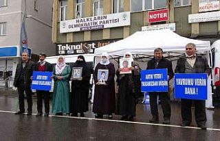 Muş’ta evlat nöbeti tutan ailelerin sayısı 21’e...