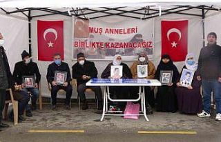 Muş’ta evlat nöbeti tutan ailelerin sayısı 23’e...