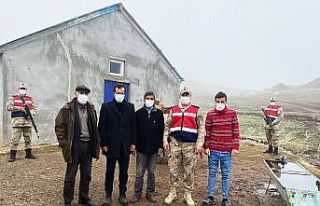 Muş’ta hayvan hırsızlığı yapan bir kişi tutuklandı