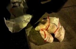 Narkotik köpeği ’Alis’ 5 kilo metamfetamin buldu