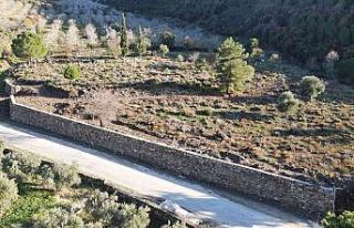 Nazilli Belediyesi, Kozdere’de üç ayrı çalışma...