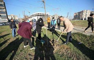 Nilüfer’e yeşil izler bıraktılar