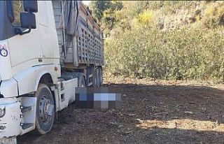 Odun yüklerken kamyondan düşerek hayatını kaybetti