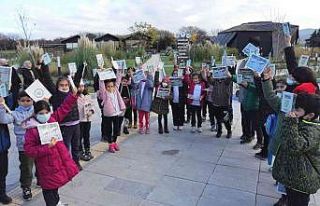 Öğrenciler, kuşları hayranlıkla izledi