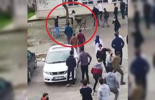 Okula dalan pitbull öğrencilere dehşeti yaşattı