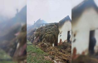 Ordu’da ahır yangınında 3 hayvan telef oldu