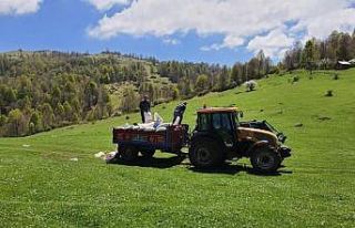 Ordu’da mera alanları ıslah ediliyor