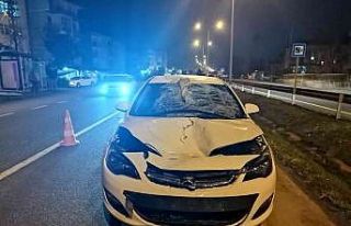 Ordu’da otomobilin çarptığı yaya hayatını...