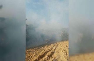 Osmaniye’deki orman yangını büyümeden söndürüldü