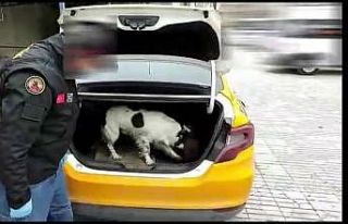 Otomobilde uyuşturucuyu sakladıkları yer şaşırttı