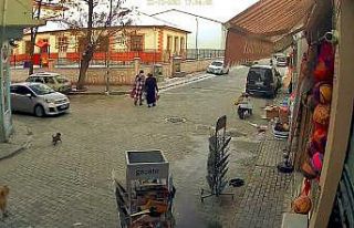 Otomobilin yavru köpeği ezdiği anlar saniye saniye...