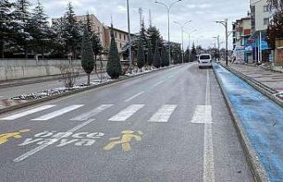 (ÖZEL) Servis aracından inen genç kıza minibüs...