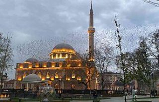 (Özel) Tarihi cami üzerinde sığırcıkların görsel...