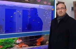 (ÖZEL) Tropikal iklim balıkları jeotermal kaynak...