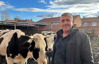 (ÖZEL) Üreticiler çiğ süte gelen fiyat artışından...