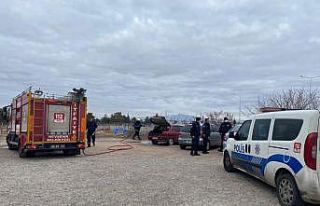 Park halindeki otomobil cayır cayır yandı