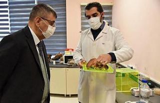 PAÜ Rektörü Kutluhan, Düzce Üniversitesi’nde...