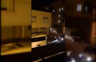 Pendik’te hem köpeğe hem köpeğin sahibine sopalı...