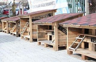 Pet Kafe ve Mama Üretim Tesisi Türkiye’ye örnek...