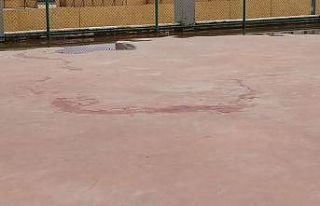 Pitbull cinsi iki köpeğin saldırdığı 4 yaşındaki...
