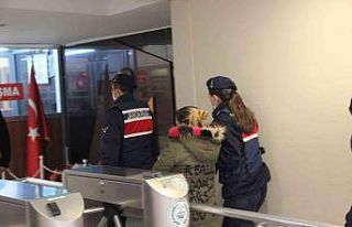 PKK’nın sözde kadın komutanı sınır dışı...