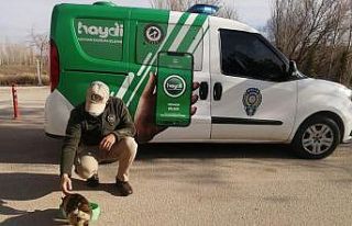 Polis, sokak hayvanlarına sahip çıktı