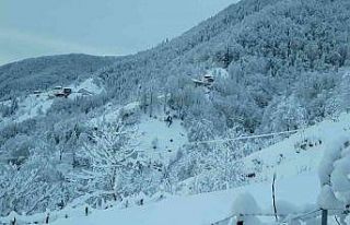 Rize’de kar yağışı nedeniyle 283 köy yolu ulaşıma...