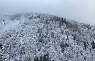 Rize’de kar yağışı nedeniyle 40 köy yolu ulaşıma...