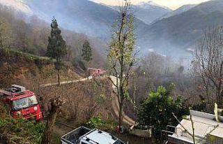 Rize’nin Fındıklı ilçesinde çıkan yangın...