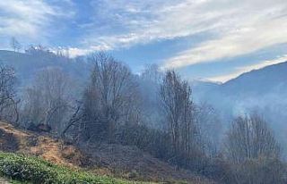 Rize’nin Fındıklı ilçesinde yangın