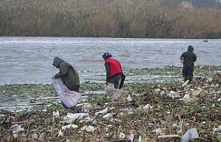 Sahile vuran odunlar kışlık yakacakları oldu