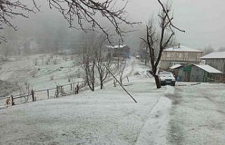 Sakarya’nın yüksek kesimlerinde kar yağışı...