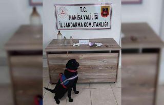 Salihli Jandarma, uyuşturucu tacirlerine göz açtırmıyor