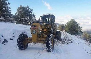 Salihli’de kardan kapanan yayla yolları ulaşıma...