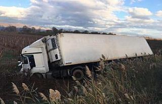 Salihli’de tır üzüm bağına girdi