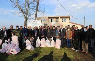 Samsun’da İsrail sazanı ile mücadele başladı