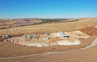 Şanlıurfa’da sokak hayvanları için rehabilitasyon...