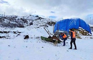 Şefkatli ellerden sokak canlılarına kış yiyeceği