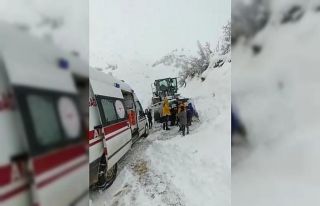 Şemdinli’de hasta kurtarma operasyonu