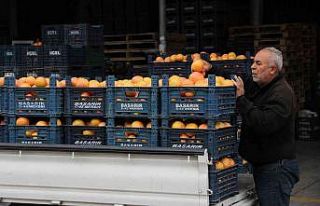 Şen: "Tarım sektörü, serbest piyasa ekonomisinin...