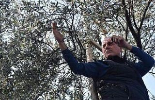 Sertaslan’dan Marmarabirlik’e fiyat güncellemesi...