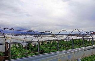 Seydikemer’de hortum seraları yıktı geçti